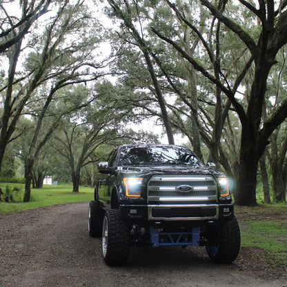 2015 - 2017 F150 LED Ghost Grille Lights | Platinum Full Length