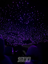 Starlight Headliner Kit