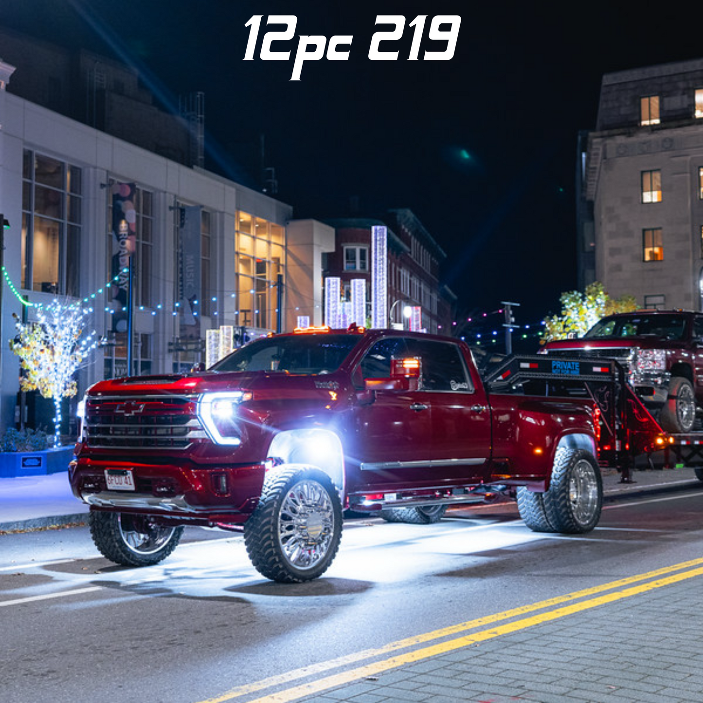 219 LED Rock Light - White P&P